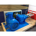 Cyyp 54 Servicio ininterrumpido Gran caudal y alta presión LNG Líquido Oxígeno Nitrógeno Argon Multiseriate Piston Pump